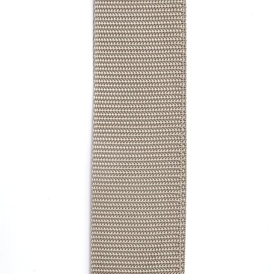 Planet Waves Polypropylene Guitar Strap, Silver Planet Waves Polypropylene Guitar Strap, Silver
