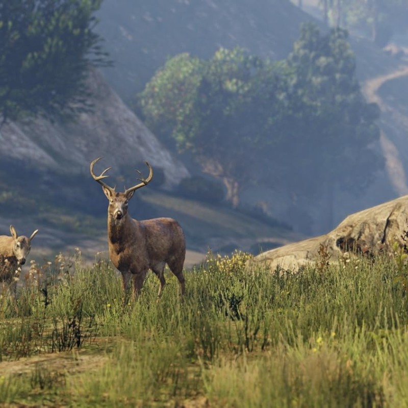 Rockstar Grand Theft Auto V (PS4) Rockstar Grand Theft Auto V (PS4)
