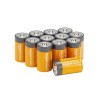 AmazonBasics D Cell Everyday Alkaline Batteries (12-Pack) AmazonBasics D Cell Everyday Alkaline Batteries (12-Pack)