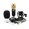 Powerpak Bm 800 Black Professional Condenser Microphone Mic Sound Studio Recording Dynamic (Requires Phantom Power) - Xlr Powerpak Bm 800 Black Professional Condenser Microphone Mic Sound Studio Recording Dynamic (Requires Phantom Power) - Xlr