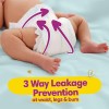 Pampers Active Baby Tape Style Baby Diapers, Newborn/Extra Small (NB/XS) Size, 72 Count, Adjustable Fit with 5 star skin protection, Up to 5kg Diapers Pampers Active Baby Tape Style Baby Diapers, Newborn/Extra Small (NB/XS) Size, 72 Count, Adjustable Fit with 5 star skin protection, Up to 5kg Diapers