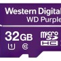 WD 32GB Surveillance MicroSD Memory Card (WDD032G1P0A)
