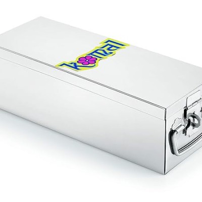Konquer TimeS Komal Stainless Steel Big Jewellery Box (Standard, Silver) Konquer TimeS Komal Stainless Steel Big Jewellery Box (Standard, Silver)