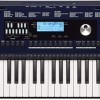 Roland E-X30 Arranger Keyboard 61-keys with Carry Bag