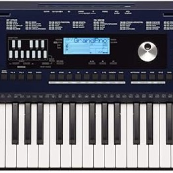 Roland E-X30 Arranger Keyboard 61-keys with Carry Bag