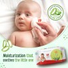 LuvLap Paraben Free Baby Wipes with Aloe Vera (72 Wipes/Pack, Pack of 6) LuvLap Paraben Free Baby Wipes with Aloe Vera (72 Wipes/Pack, Pack of 6)