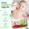 LuvLap Moisturising Wipes with Aloe Vera Lid (72 Wipes/Pack, Pack of 3) LuvLap Moisturising Wipes with Aloe Vera Lid (72 Wipes/Pack, Pack of 3)