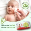LuvLap Paraben Free Baby Wipes with Aloe Vera, with Fliptop Lid (72 Wipes/Pack, Pack of 6) LuvLap Paraben Free Baby Wipes with Aloe Vera, with Fliptop Lid (72 Wipes/Pack, Pack of 6)