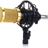 Powerpak BM-800 Professional Condenser Microphone Kit with Scissor Stand Sound Card Pop Filter XLR Cable Foam Cap and Shock Mount (Black) Powerpak BM-800 Professional Condenser Microphone Kit with Scissor Stand Sound Card Pop Filter XLR Cable Foam Cap and Shock Mount (Black)