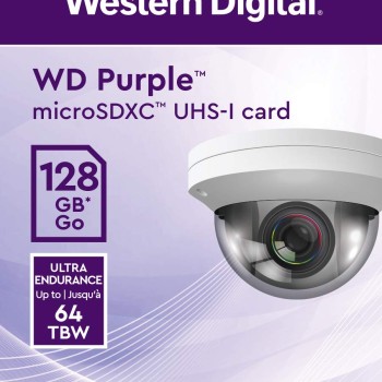 Western Digital WD Purple 128GB Surveillance and Security Camera Memory Card for CCTV & WiFi Cameras (WDD0128G1P0C)
