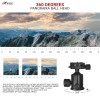 Hiffin HF-550 Tripod, 65 inches Special Quality Camera Tripod for Canon Nikon DSLR, Aluminum Alloy Tripod with 360 Degree Ball Head, Professional Tripod for Travel and Work (Black) Hiffin HF-550 Tripod, 65 inches Special Quality Camera Tripod for Canon Nikon DSLR, Aluminum Alloy Tripod with 360 Degree Ball Head, Professional Tripod for Travel and Work (Black)