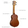 JUAREZ Etéreo 21" Soprano Ukulele, Sapele Top & Body, Aquila Italian Strings, Black Diecast Machine, Rosewood Fretboard & Bridge with Gig Bag, 2 Picks, Digital Tuner, Natural JUAREZ Etéreo 21" Soprano Ukulele, Sapele Top & Body, Aquila Italian Strings, Black Diecast Machine, Rosewood Fretboard & Bridge with Gig Bag, 2 Picks, Digital Tuner, Natural