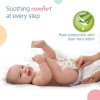 LuvLap Baby Diaper Pants Small (SM) 4-8Kg, with Aloe Vera Lotion for rash protection, with upto 12Hr protection, Super Jumbo Pack of 78x2=156 LuvLap Baby Diaper Pants Small (SM) 4-8Kg, with Aloe Vera Lotion for rash protection, with upto 12Hr protection, Super Jumbo Pack of 78x2=156