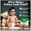 TEDDYY Baby Easy Pant Diapers Medium 74 Count (Pack of 1), 7-12 kgs, 10 hrs Leak Protection, Anti - Bacterial TEDDYY Baby Easy Pant Diapers Medium 74 Count (Pack of 1), 7-12 kgs, 10 hrs Leak Protection, Anti - Bacterial