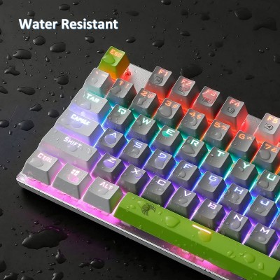 HUO JI Mechanical Gaming Keyboard Blue Switches Hot Swappable, E-YOOSO Z-88 Rainbow LED Backlit, USB Type-C Wired 81 Keys, for Desktop, PC Black HUO JI Mechanical Gaming Keyboard Blue Switches Hot Swappable, E-YOOSO Z-88 Rainbow LED Backlit, USB Type-C Wired 81 Keys, for Desktop, PC Black