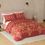 Raymond Home Avenue Cotton Rich King Bedsheet with 2 Pillow Covers