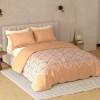 Raymond Home Avenue Cotton Rich King Bedsheet with 2 Pillow Covers Raymond Home Avenue Cotton Rich King Bedsheet with 2 Pillow Covers