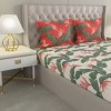 Raymond Home Camphor 144 TC Double Bedsheet with 2 Pillow Covers Raymond Home Camphor 144 TC Double Bedsheet with 2 Pillow Covers
