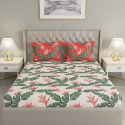 Raymond Home Camphor 144 TC Double Bedsheet with 2 Pillow Covers