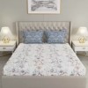 Raymond Home Camphor 144 TC Double Bedsheet with 2 Pillow Covers Raymond Home Camphor 144 TC Double Bedsheet with 2 Pillow Covers