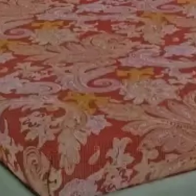 Raymond Home Camphor 144 TC Double Bedsheet with 2 Pillow Covers