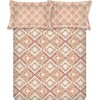 Raymond Home Jazzy Cotton Rich Double Bedsheet with 2 Pillow Covers