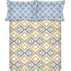 Raymond Home Jazzy Cotton Rich Double Bedsheet with 2 Pillow Covers