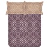 Raymond Home Mystique 110 TC Double Bedsheet with 2 Pillow Covers