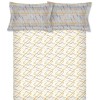 Raymond Home Mystique 110 TC Double Bedsheet with 2 Pillow Covers Raymond Home Mystique 110 TC Double Bedsheet with 2 Pillow Covers