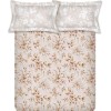 Raymond Home Vision 144 TC King Size Bedsheet with 2 Pillow Covers
