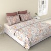 Raymond Home Vision 144 TC King Size Bedsheet with 2 Pillow Covers
